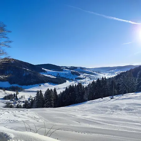 Skilift Hofeck Bernau im Schwarzwald