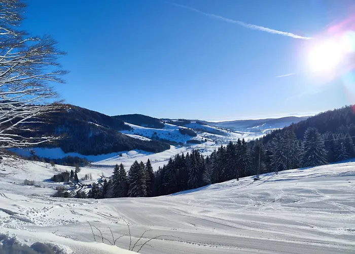 Skilift Hofeck بيرنو ام سشوارتزال